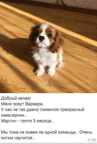 Мартин ждет занятий Кавалер курсов
