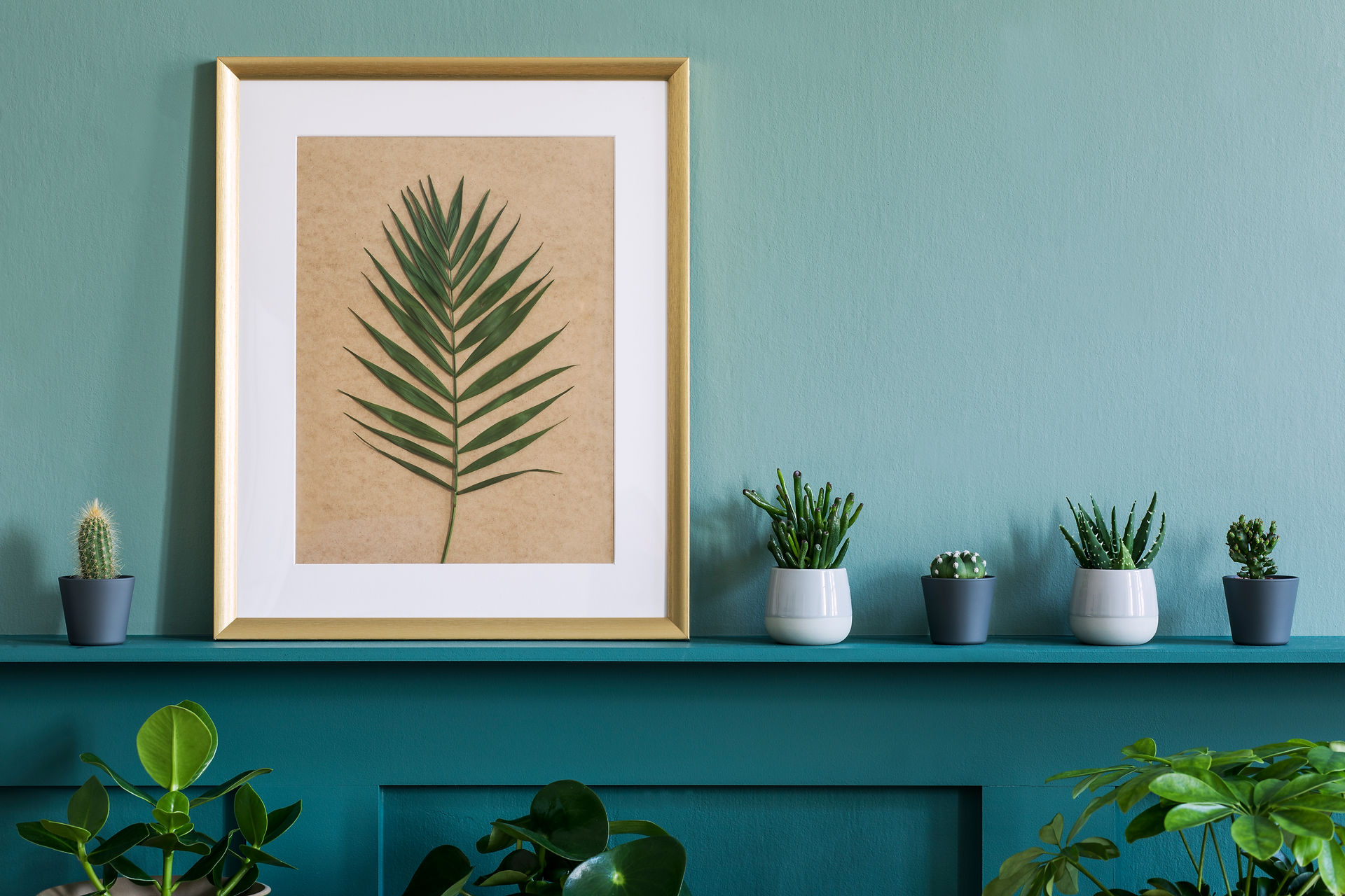 wall shelf with plants and simple frames with leaves