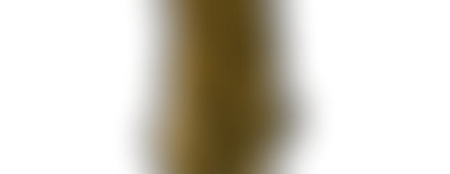 shrub or tree in a dark green color