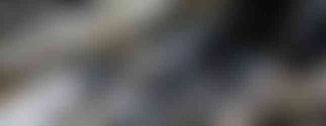 tree logs and branches laying in a pile