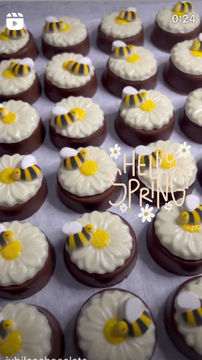 Thumbnail: Hello Spring Bee & Daisy Oreo