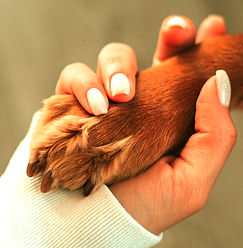 Holding Paw_edited_edited_edited.jpg