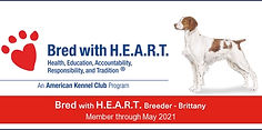 2020_BRIT_BWH_banner.jpg