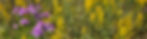 20250926_142336_edited.jpg