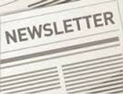 Nordic Stars Newsletter