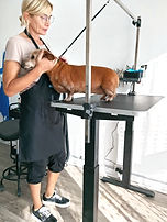 5af67e58-af3a-40d5-a630-3b0a4a1aff48_edi