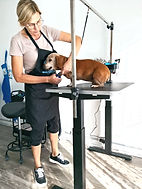 5120426e-2d8c-4336-894e-160d2dbb12e9_edi