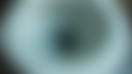 Expert Toilet Repair Services