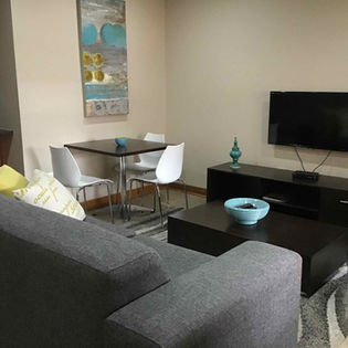 Lounge and kitchen area in furnished rental for executive stays in Bloemfontein