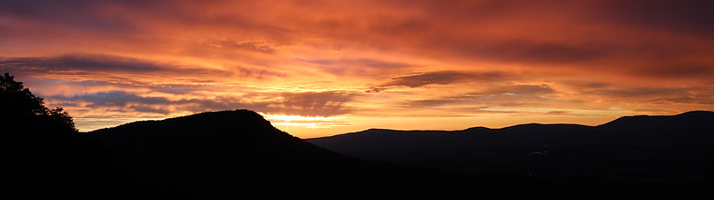 IMG-7921.JPG