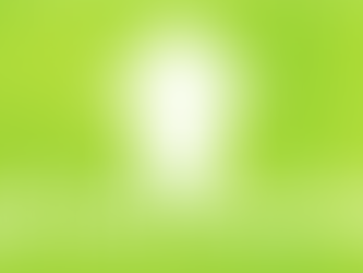 Benefício Emergencial de Manutenção do Emprego e da Renda (BEm) - Normas para processamento e pagame