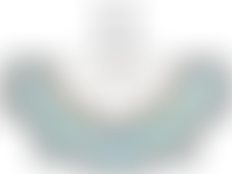 E-Social Nova Declaração Obrigatória