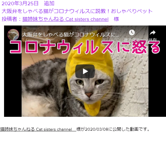 無題 大阪弁をしゃべる猫がコロナウィルスに説教!おしゃべりペット 2.png