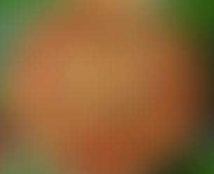 Quiche met feta en tomaatjes