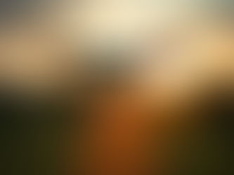 Agronegócio 4.0: A Inteligência Artificial Mapeia Cafezais no Brasil e Desafia a Conectividade Rural