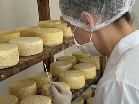 Estudo inédito vai mapear o 'DNA' do Queijo Minas Artesanal do Serro