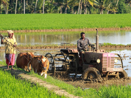 Agricultura Regenerativa no Brasil: Tendências e Sustentabilidade para 2025