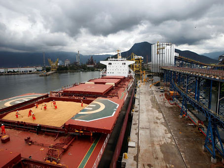 Exportações Agrícolas: Oportunidades Globais em 2025