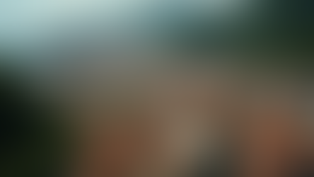 Monitoramento Climático em Favelas do Rio Uma Análise da Desigualdade de Temperaturas