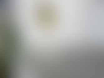 Epamig realiza avaliações que identificam as potencialidades da azeitona e do azeite