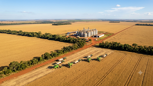 Desafios e Oportunidades do Agronegócio Brasileiro na Era da Competitividade Global