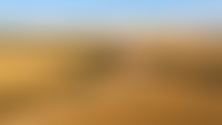 Desafios e Oportunidades do Agronegócio Brasileiro na Era da Competitividade Global