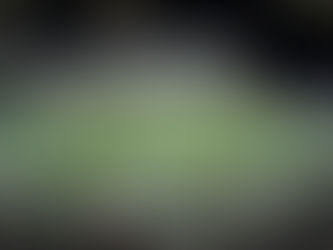 Dignidade na Queda: América-MG Inicia a Reconstrução Tática na Série A e Prepara a Base para o Recomeço na Série B