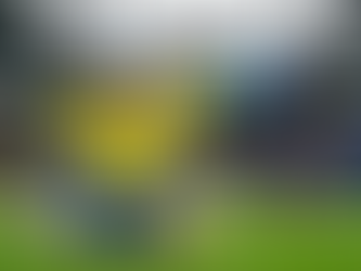 Drama, Suor e Alívio em Houston: Gabriel Martinelli Salva o Brasil no Apagar das Luzes, mas a Pergunta Continua: Endrick é a Mudança que Falta na Seleção?