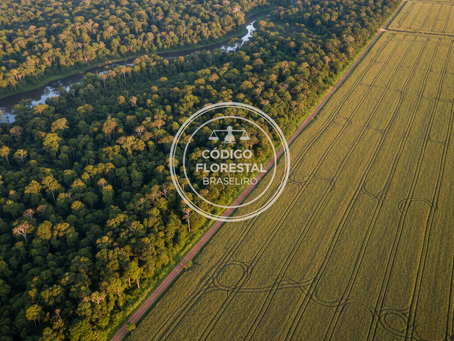 O Fim da Moratória da Soja e o Novo Marco da Legalidade: O Futuro da Sustentabilidade no Campo em 2026