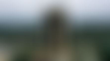 Liquidação do Banco Pleno: O Que o Fim da Instituição Revela Sobre a Saúde do Sistema Financeiro em 2026