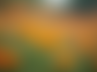 Cultivo de Flores no Brasil: Dicas Práticas para Amantes da Botânica