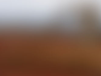 Trabalho de inteligência da Secretaria de Meio Ambiente colabora para desmantelamento de garimpo ilegal na RMBH
