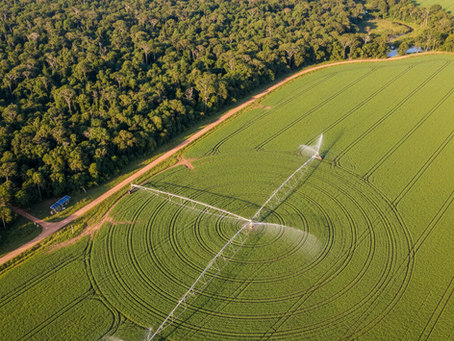 O Divisor de Águas de 2026: Como o Rigor Ambiental e a Crise de Chuvas Estão Redefinindo o Lucro no Campo
