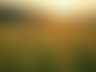 Exportações Recordes em Outubro: O Agronegócio Brasileiro em Alta