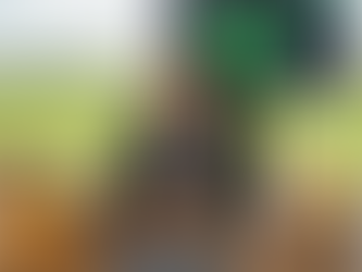 Estratégia Coopercitrus: Diversificação e Verticalização como Escudo contra a Volatilidade das Commodities