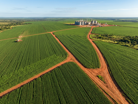 Novas fronteiras agrícolas do Brasil: o avanço do Matopiba e do Arco Norte