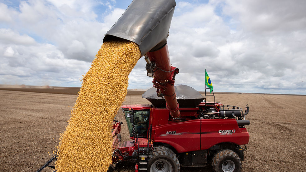 As colheitadeiras Axial-Flow série 250 Automation são equipadas com o Harvest Command, um sistema inteligente que se autorregula por meio de vários sensores, com quatro modos de colheita, proporcionando até 30% a mais de produtividade.