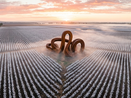 O Mecenato da Terra: A Ascensão dos Parques Privados de Esculturas Monumentais e Galerias de Vanguarda nas Megafazendas do Agronegócio Brasileiro