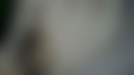 STF forma maioria para tornar Eduardo Bolsonaro réu e PL Antifacção gera tensão política