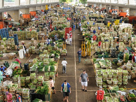 Índice de Preços na Ceagesp Cai 1,63% em Junho e o Que Isso Significa para o Mercado