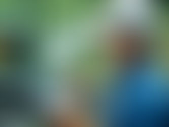 🌾 Plano Safra Sustentável: O Guia Completo para Produtores Buscando Crédito Verde