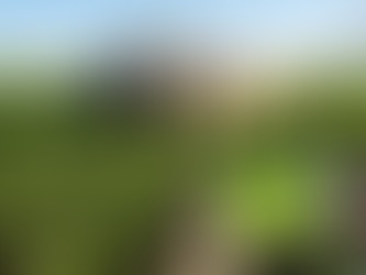 O Despertar dos Gigantes Autônomos: Como a Inteligência Artificial Está Assumindo o Volante no Campo Brasileiro