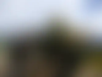 Caminhos da Reportagem relembra ataques de 8 de janeiro de 2023