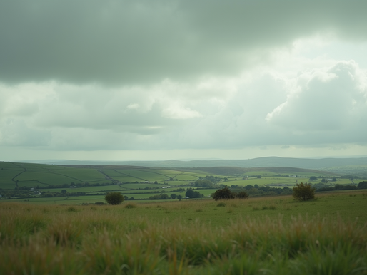 China Demonstra Interesse em Retomar Importações de Alimentos da Irlanda