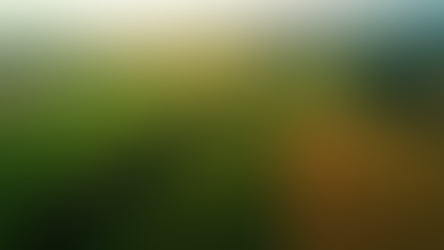 Exportações no Agro Brasileiro: Desafios e Oportunidades no Ajuste da Piccin