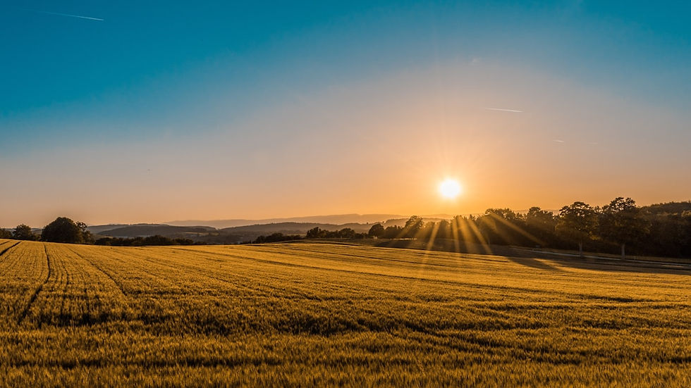 ☀️ Agro em Foco | 6 de Setembro de 2026: Expointer Encerra, Embargo da UE, Preços Globais e Mais