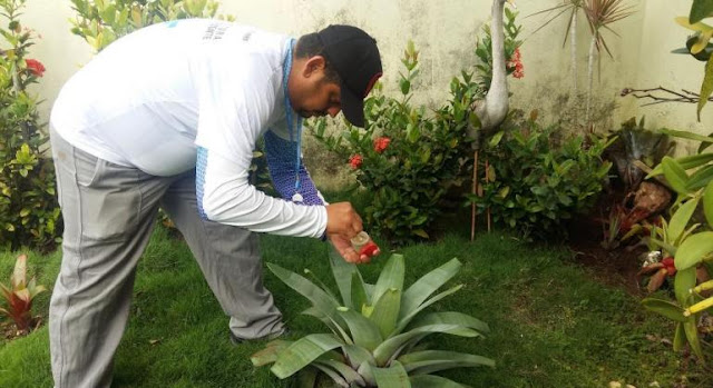 Custom alt text
