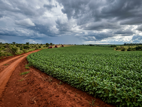 El Niño e La Niña na soja do Cerrado: o que muda no campo