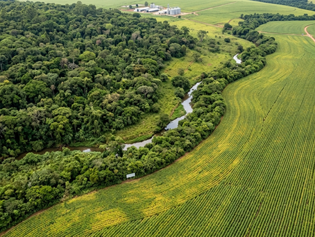 O Marco da Regularização Ambiental: A Nova Ofensiva Contra o Desmatamento e o Futuro do Crédito Rural