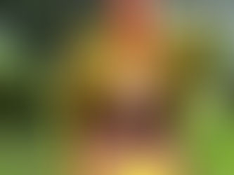 Patashopping recebe autorização para comercializar a produção artesanal e agrícola do Povos Indígenas